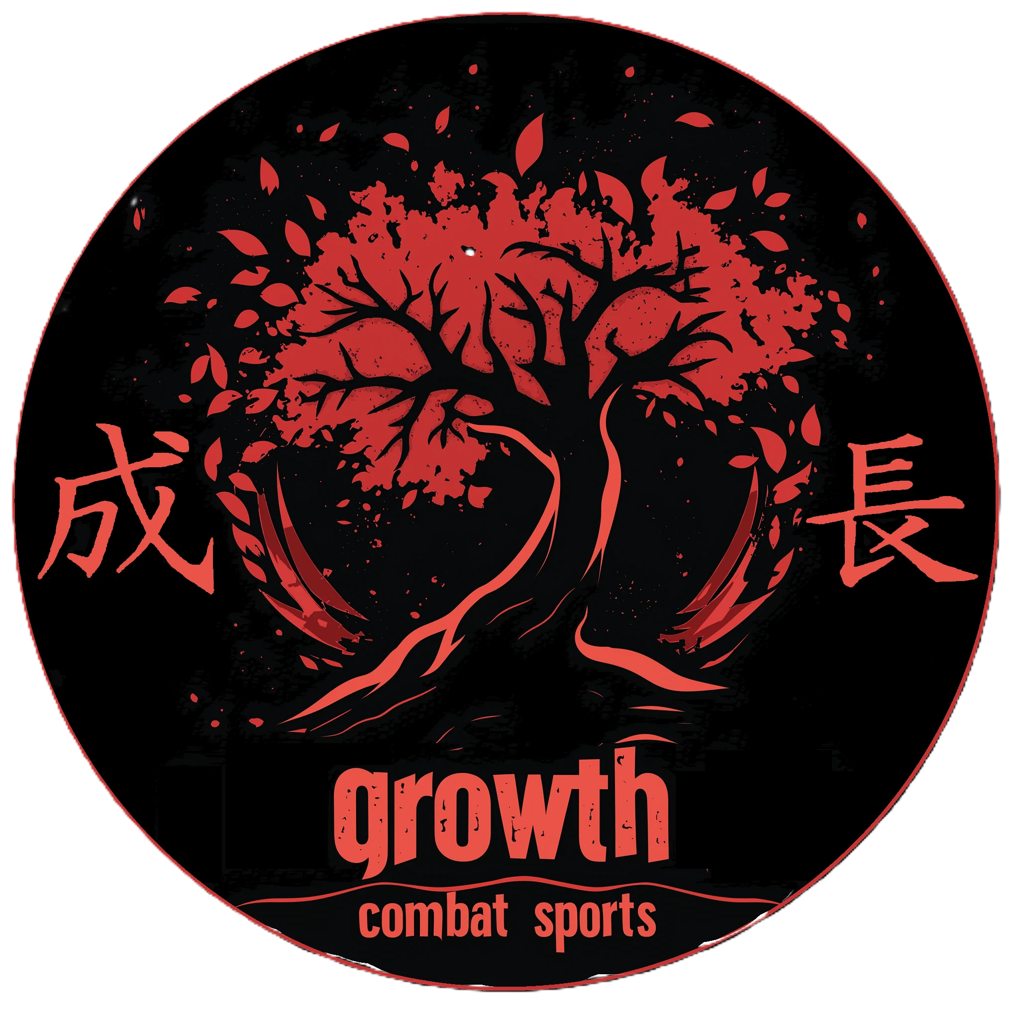 Martial Arts Williamsport, Pa | Judo, Wing Chun, Taekwondo, Boxing, MMA, No-Gi Grappling